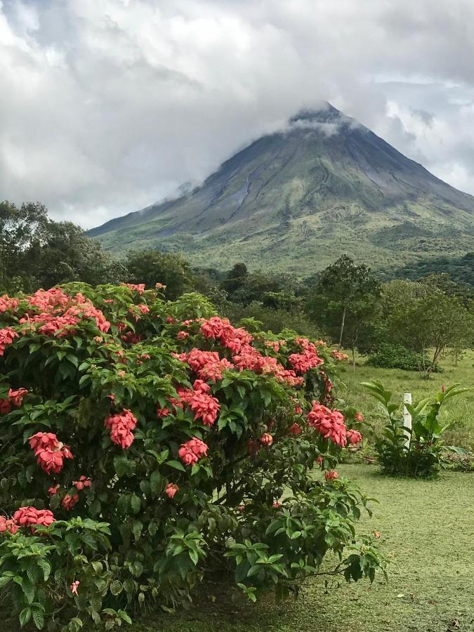 Arenal Roca Suites La Fortuna المظهر الخارجي الصورة