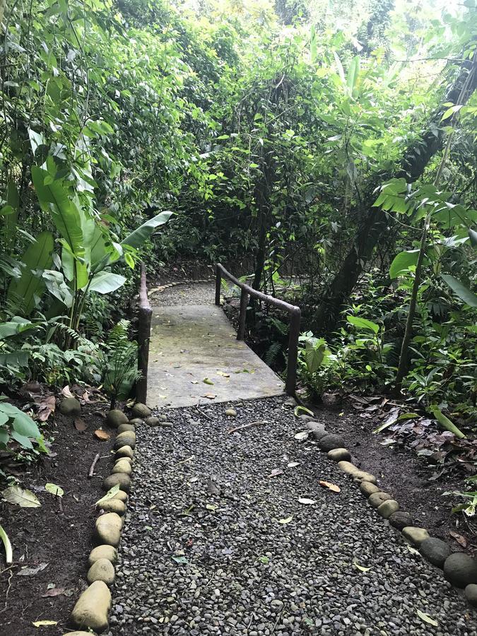 Arenal Roca Suites La Fortuna المظهر الخارجي الصورة